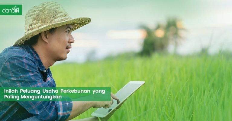 Inilah Peluang Usaha Perkebunan Yang Paling Menguntungkan Blog 6252