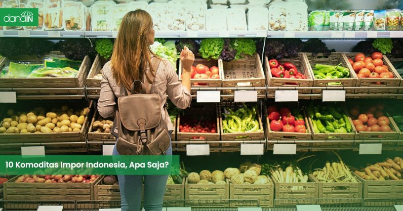 danain-10 komoditas impor Indonesia-gambar orang sedang berbelanja